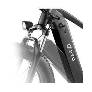 Bicicleta Eléctrica DYU King750 - Imagen 3