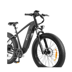 Bicicleta Eléctrica DYU King750 - Imagen 2