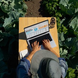 Apple MacBook Pro 14  Chip M4, 16 GB RAM, 512GB de SSD, Plata - Imagen 4